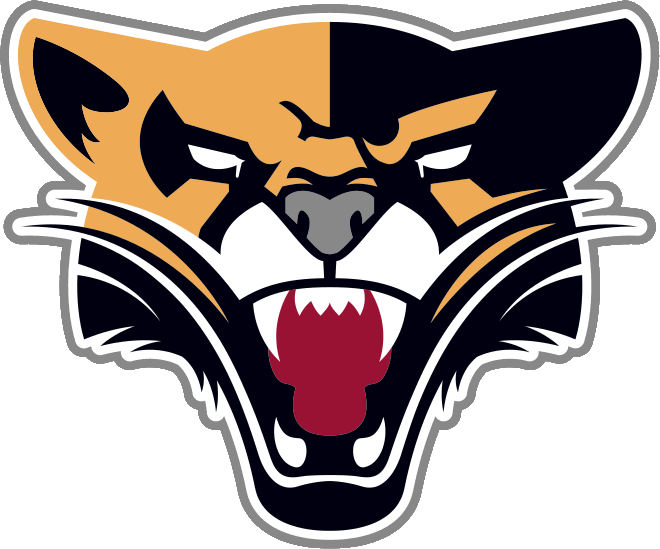 Saint Xavier University